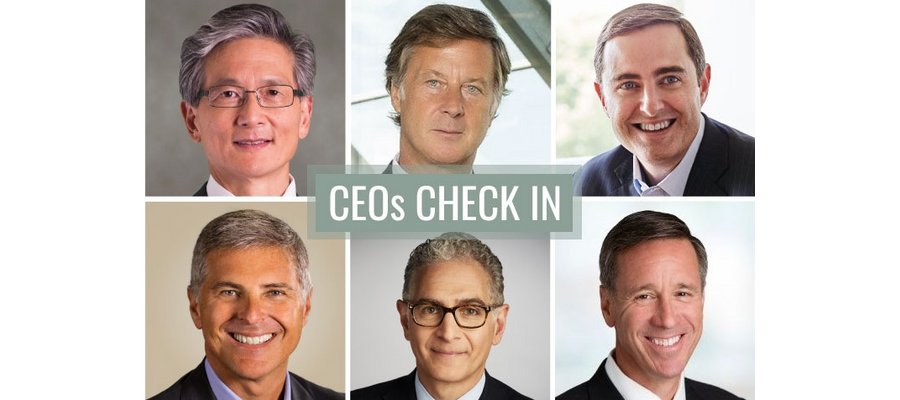 CEOs hope for a strong 2021 as crisis continues 