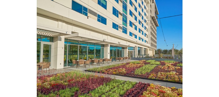 JW Marriott Anaheim rolls out seed-to-table program