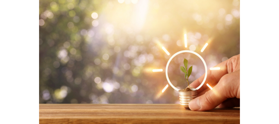 CSR adoption in independent hotels: The drivers and barriers