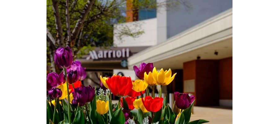 Marriott CFO: A soft landing for the economy 'now seems more likely'