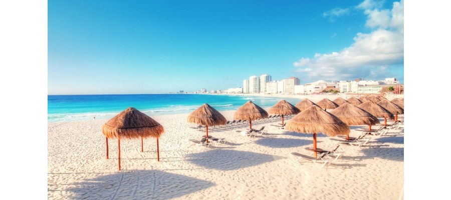 Google Flights unveils new feature to help travellers save money and reveals most-searched winter holiday spots