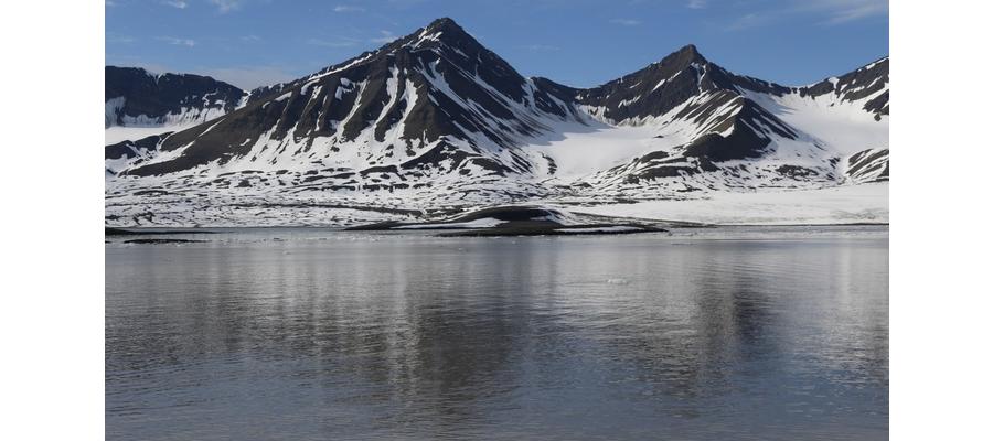 Norway Implements New Tourism Regulations in Svalbard for Wildlife Protection