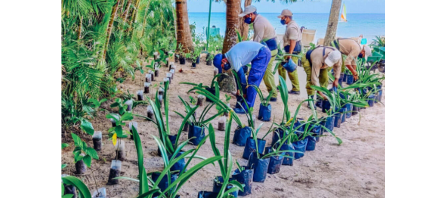 Iberostar achieves 12% reduction in emissions globally