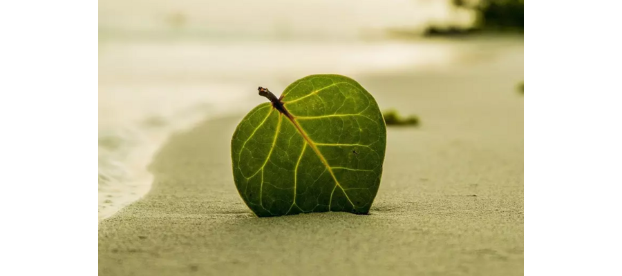 Hotel development: Covivio Hotels successfully issues a €500m Green Bond