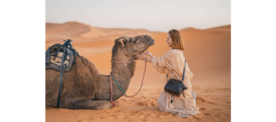The Experiential Travel Boom: The Big Summer Travel Trends for 2024