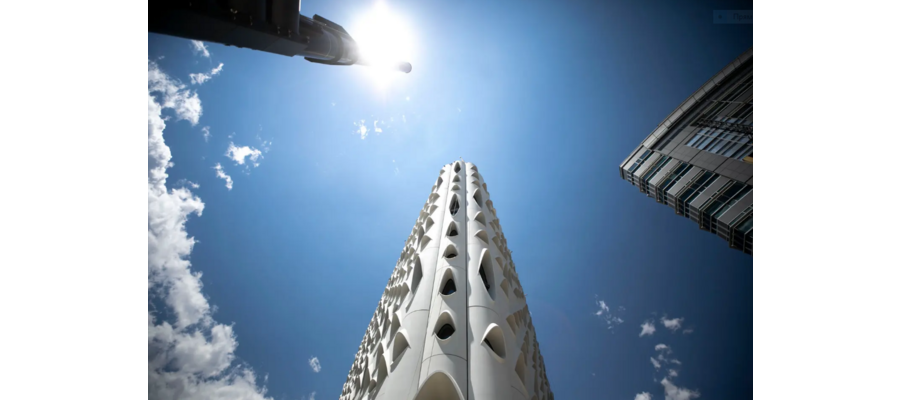 How the first ‘carbon-positive’ hotel in the U.S. is handling a dead tree problem