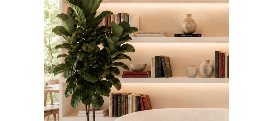 In the age of algorithms, hotel libraries are an act of resistance