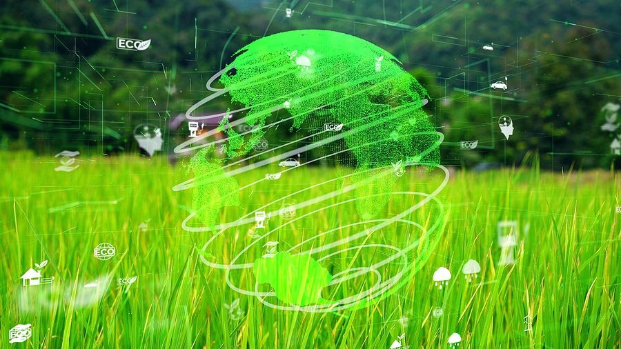 Clean guest data and why it matters