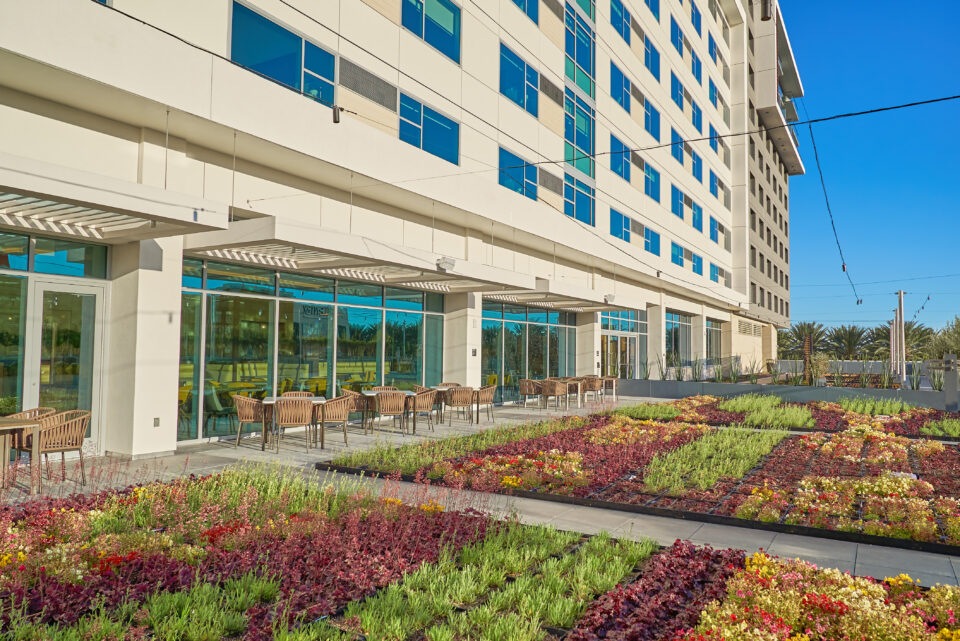 JW Marriott Anaheim rolls out seed-to-table program