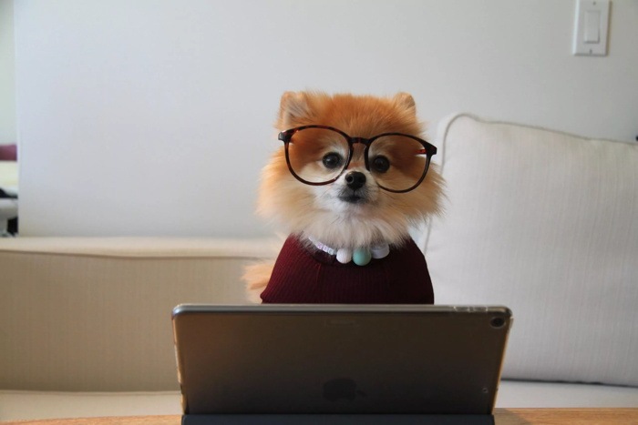 Why Didn't My Guest Leave a Review? 4 Ways to Get More Feedback from Your Guests