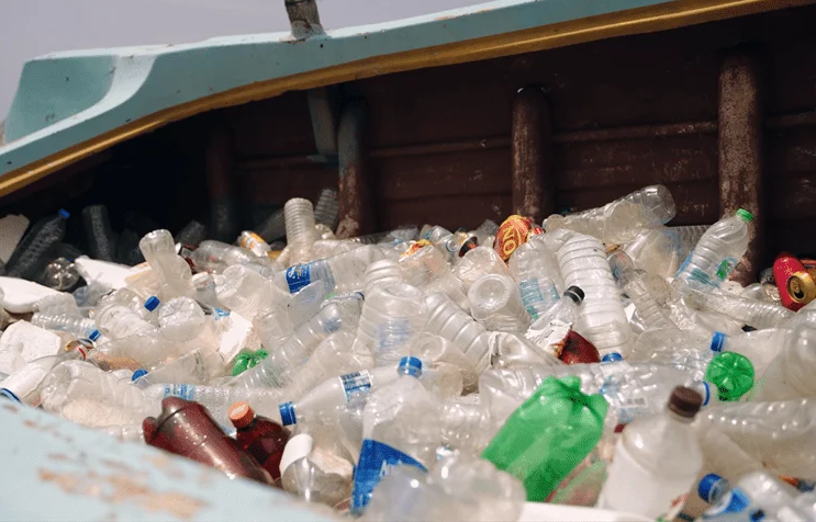 Engineers Unveil Sustainable Water Purification Technology to Tackle World’s Overreliance On Bottled Water