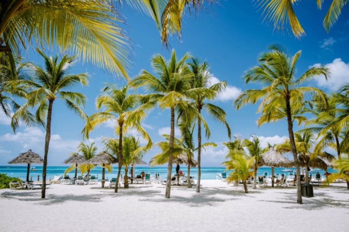 Travel outlook for LatAm, Caribbean looks promising, hotel construction sees healthy growth