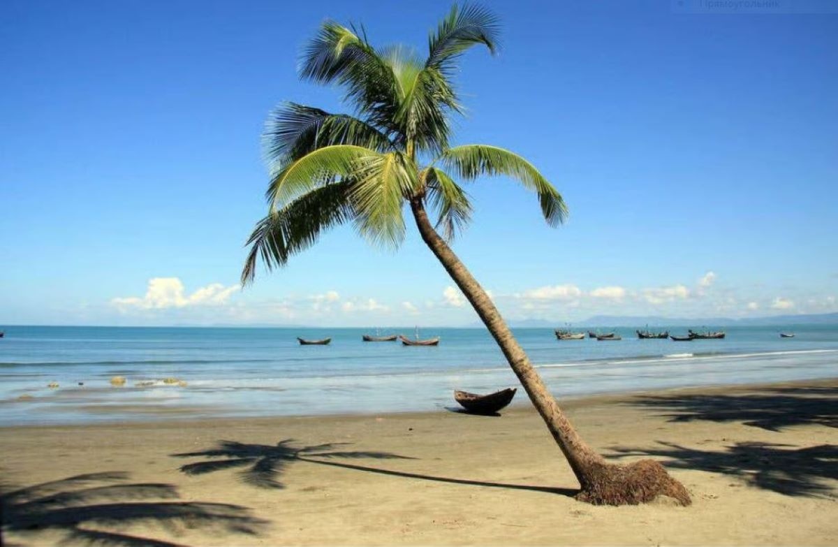 Travel firm ads banned over misleading ‘eco’ hotel claims